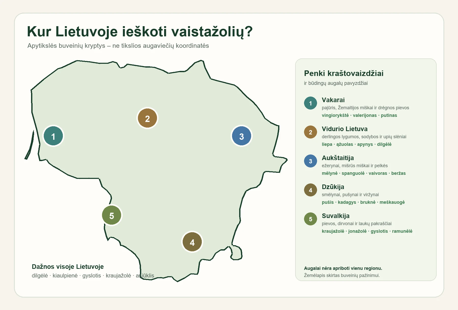 Lietuvos vaistažolių buveinių žemėlapis su penkiomis apytikslėmis kraštovaizdžio kryptimis
